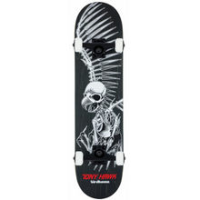  Tony Hawk Full Skull Birdhouse Complete 8.0