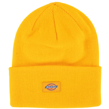  Knit Tall Cuff Dickies Beanie Golden Rod