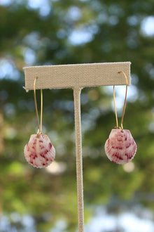  Tear Drop Earrings - Coastal Creations