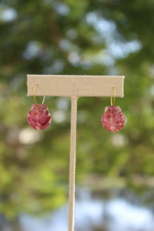 Hoop Earrings - Coastal Creations