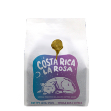  Brandywine Costa Rica Naranjo La Rosa Washed