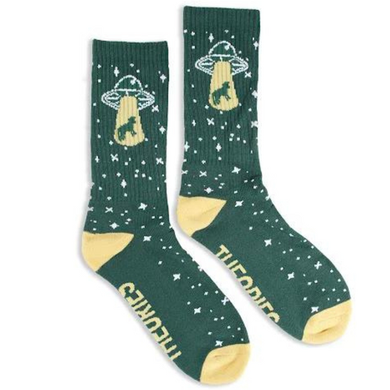 Abduction Theories Crew Socks Alpine