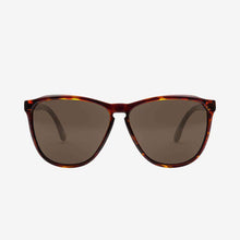  Electric Encelia Gloss Tort/ Bronze Polar