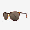 Electric Encelia Gloss Tort/ Bronze Polar