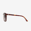 Electric Encelia Gloss Tort/ Bronze Polar